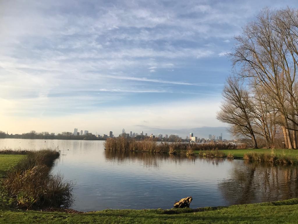 filosofische praktijk, ruimdenkenvrijbewegen, filosofisch gesprek, zelfzorg, Kralingse Bos in Rotterdam
