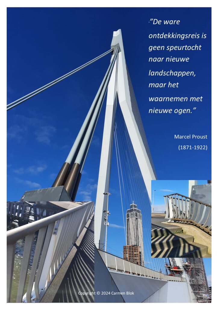 De ware ontdekkingsreis is geen speurtocht naar nieuwe landschappen, maar het waarnemen met nieuwe ogen.
Marcel Proust
