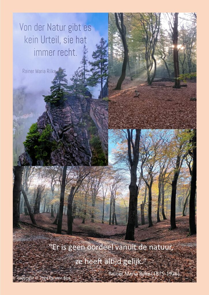 Filosofisch blog Geen Oordeel. Fotocompilatie van dansen de bomen in de herfst met citaat van Rainer Maria Rilke
