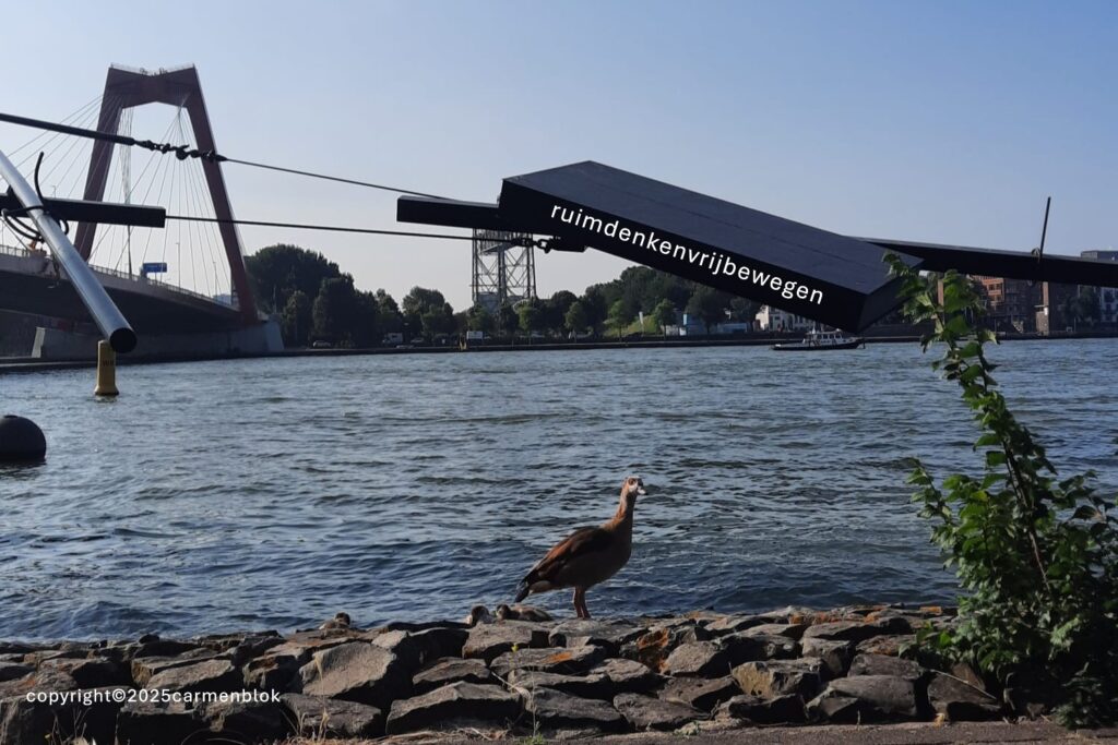 Foto van de Maas met op de achtergrond de Willemsbrug, Rotterdam bij Filosofische vraag: Wat is een filosofische vraag? Van
Filosofische praktijk ruimdenkenvrijbewegen
