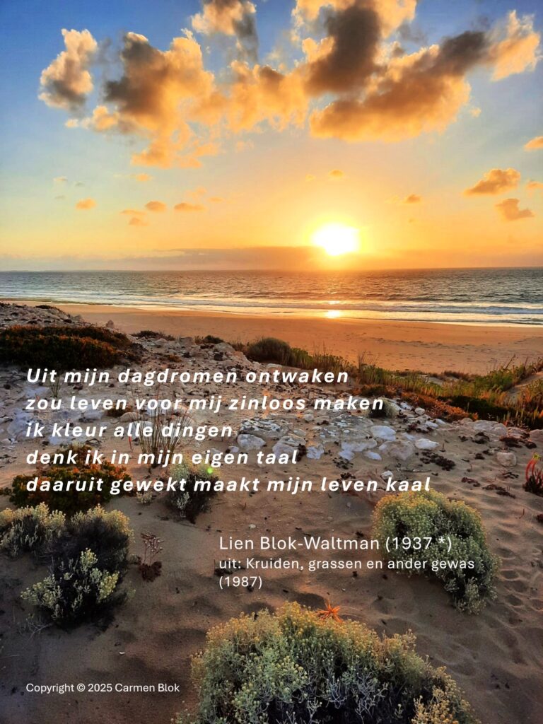 Filosofisch intermezzo 
Gedicht Dagdromen van Lien Blok-Waltman met foto van ondergaande zon aan de kust van Australië.
