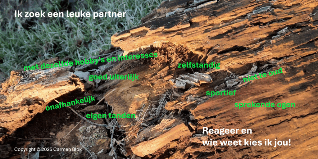 lijst van de liefde 
filosofische praktijk ruimdenkenvrijbewegen