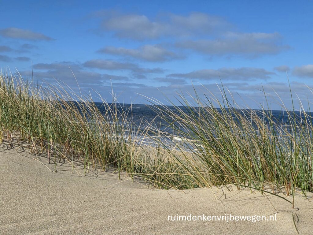 Duin op gang 9 bij Burgh-Haamstede. Vergezicht vanaf de duinen.